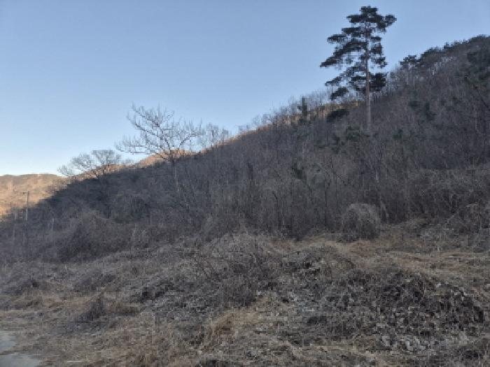 경북 경주시 내남면 답 경매 물건 사진 4 · 2026타경3