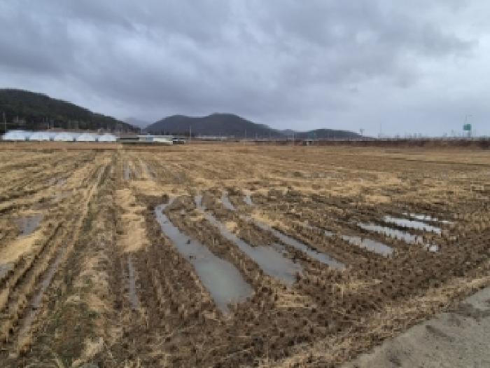 경북 경주시 율동 전답 경매 물건 사진 2 · 2026타경31