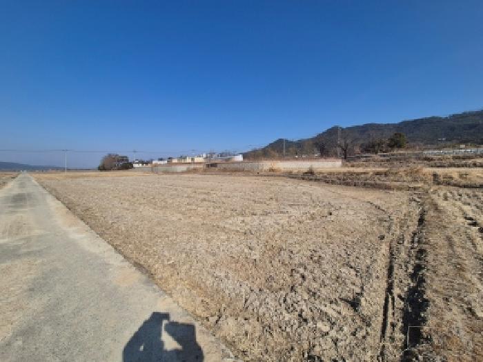 경북 경주시 양남면 전답 경매 물건 사진