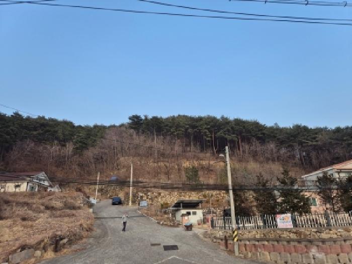 경북 경주시 산내면 임야 경매 물건 사진
