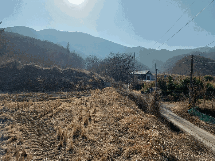 경북 경주시 현곡면 임야 경매 물건 사진 4 · 2026타경5