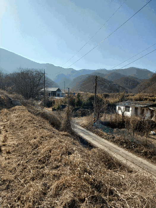 경북 경주시 현곡면 임야 경매 물건 사진 5 · 2026타경5
