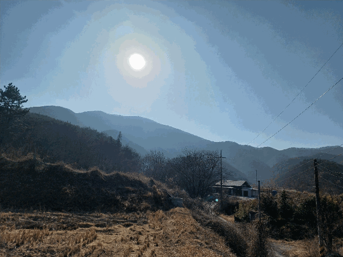경북 경주시 현곡면 임야 경매 물건 사진 6 · 2026타경5