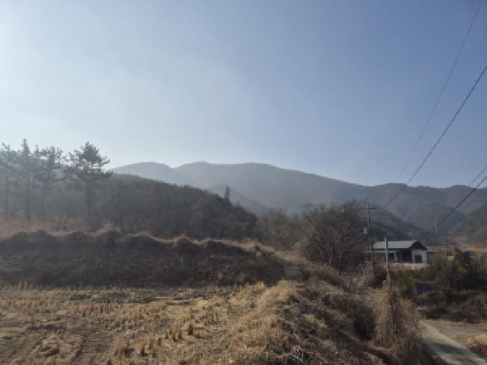 경북 경주시 현곡면 임야 경매 물건 사진