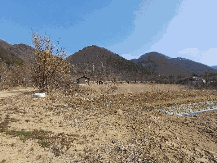 경북 경주시 산내면 전답 경매 물건 사진 6 · 2026타경50