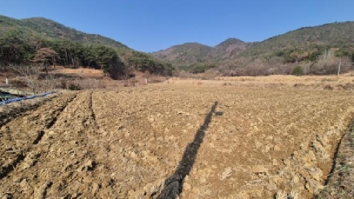 경북 경주시 내남면 전답 경매 물건 사진