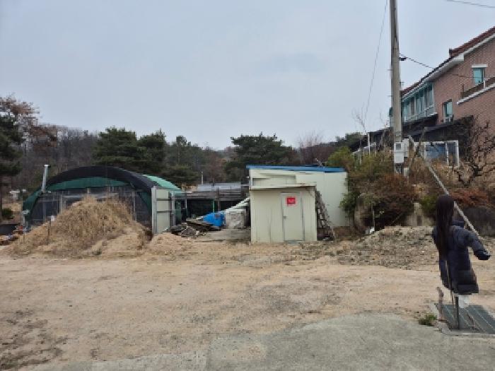 경북 경주시 강동면 임야 경매 물건 사진