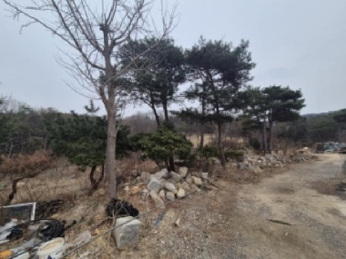 경북 경주시 강동면 임야 경매 물건 사진 2 · 2026타경60