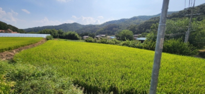 경북 구미시 해평면 대지 경매 물건 사진 5 · 2024타경16195