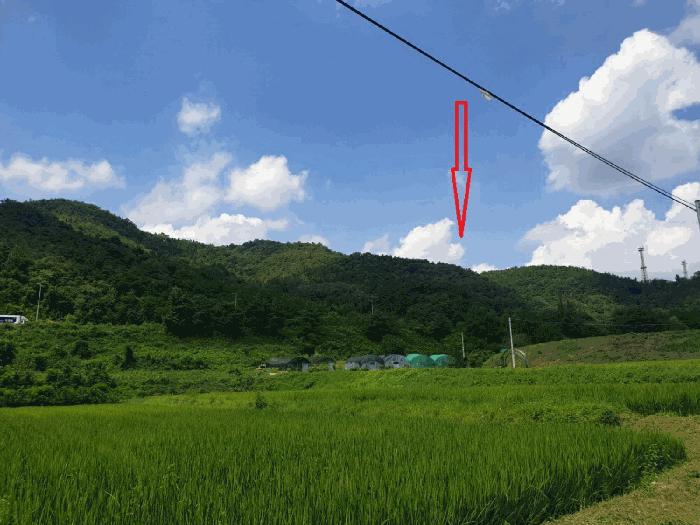경북 구미시 장천면 전 경매 물건 사진 2 · 2024타경17655