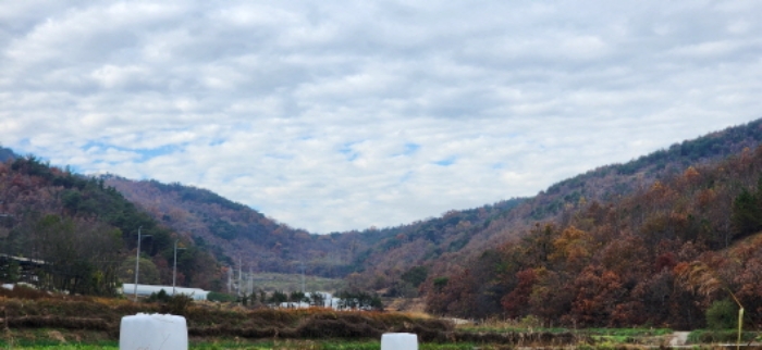 경북 구미시 장천면 전 경매 물건 사진 3 · 2024타경17655