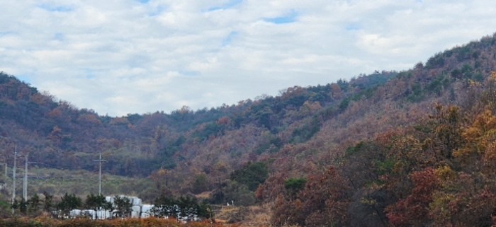 경북 구미시 장천면 전 경매 물건 사진 4 · 2024타경17655