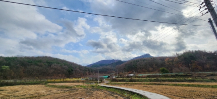 경북 구미시 금전동 임야 경매 물건 사진