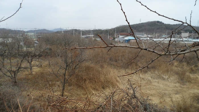 경상북도 김천시 농소면 월곡리 1133-1 단독주택 경매 물건 사진