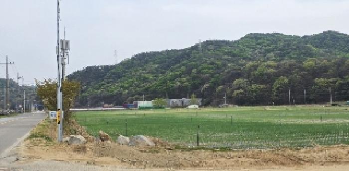 경북 김천시 남면 임야 경매 물건 사진 4 · 2025타경10929