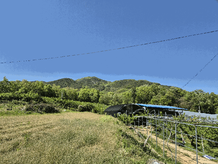 경북 김천시 양천동 임야 경매 물건 사진 5 · 2025타경10974