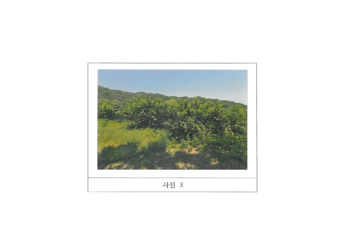 경북 구미시 봉곡동 전 경매 물건 사진 3 · 2025타경11024