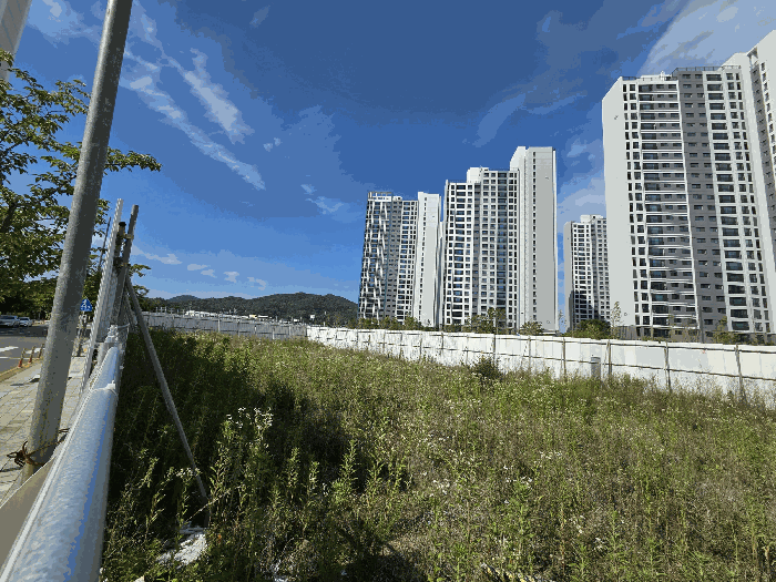 경북 김천시 부곡동 답 경매 물건 사진 5 · 2025타경11116