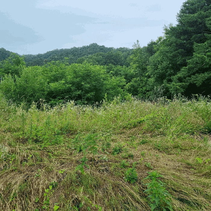 경북 김천시 남면 답 경매 물건 사진 5 · 2025타경11146