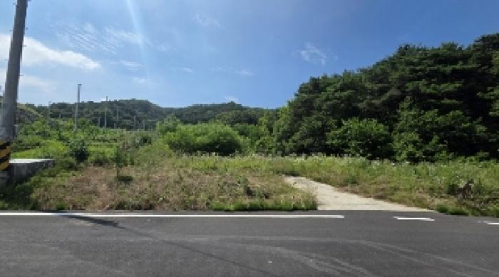 경북 김천시 남면 답 경매 물건 사진