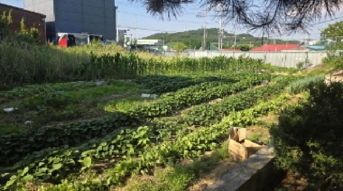 경북 김천시 농소면 답 경매 물건 사진 6 · 2025타경11149