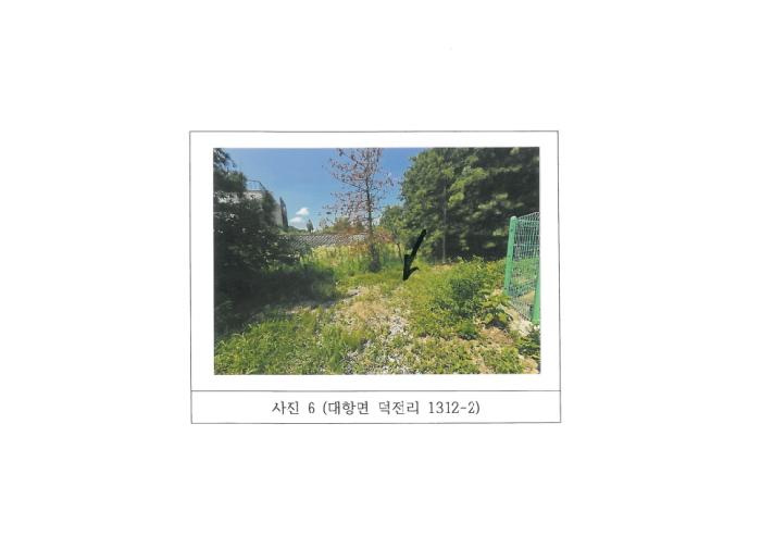 경북 김천시 대항면 답 경매 물건 사진 6 · 2025타경11171
