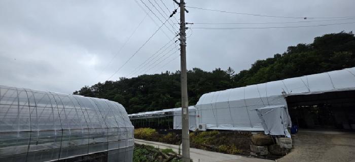 경북 김천시 봉산면 임야 경매 물건 사진
