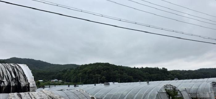경북 김천시 봉산면 임야 경매 물건 사진 3 · 2025타경11227