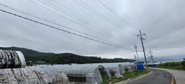 경북 김천시 봉산면 임야 경매 물건 사진 4 · 2025타경11227