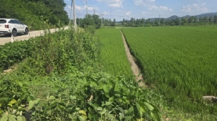 경북 구미시 선산읍 전 경매 물건 사진
