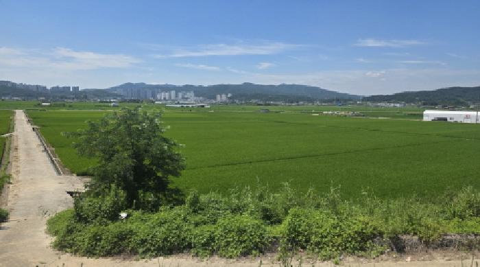 경북 구미시 고아읍 전답 경매 물건 사진