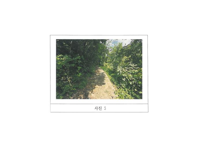 경북 김천시 구성면 전답 경매 물건 사진 3 · 2025타경11285