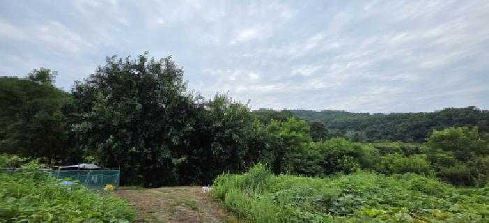 경북 김천시 문당동 전답 경매 물건 사진
