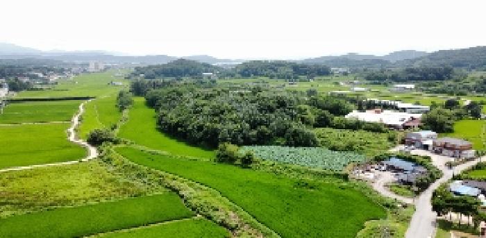 경북 구미시 해평면 전답 경매 물건 사진