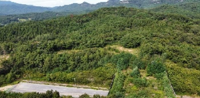 경북 구미시 산동읍 임야 경매 물건 사진 4 · 2025타경11341