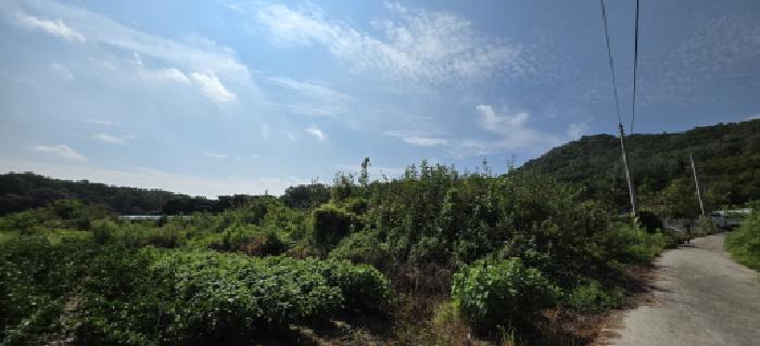 경북 김천시 봉산면 전 경매 물건 사진