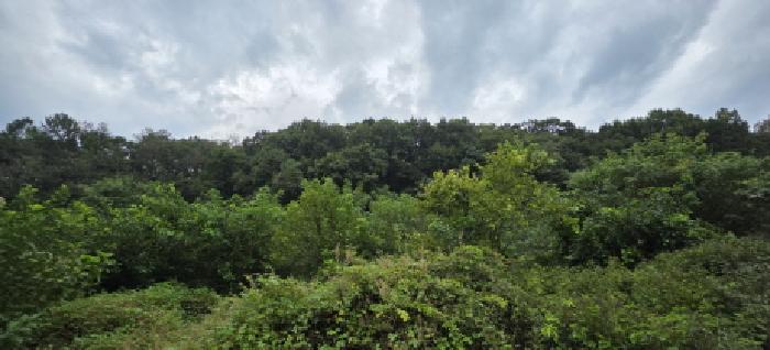 경북 김천시 봉산면 전답 경매 물건 사진