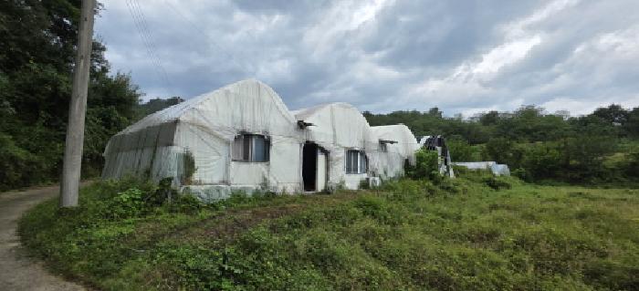 경북 김천시 봉산면 전답 경매 물건 사진 2 · 2025타경11360