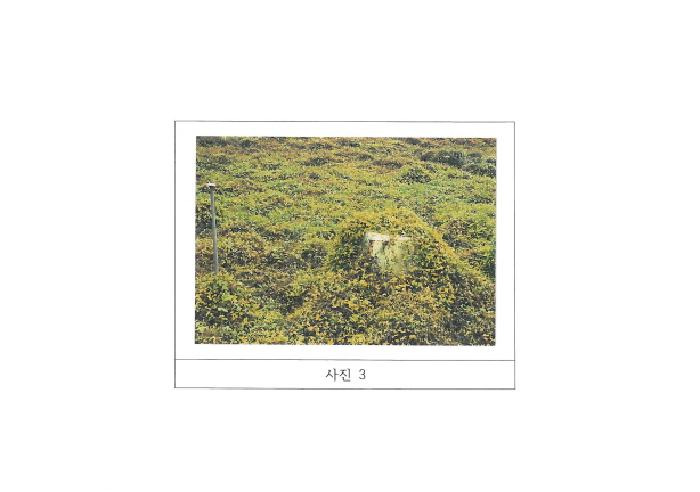 경북 김천시 남면 전 경매 물건 사진 3 · 2025타경11409