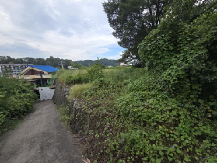 경북 김천시 모암동 대지 경매 물건 사진