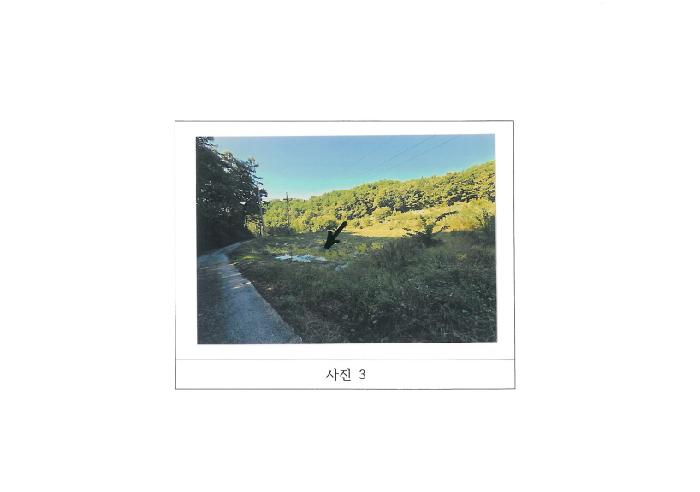 경북 김천시 감천면 전답 경매 물건 사진 3 · 2025타경11412
