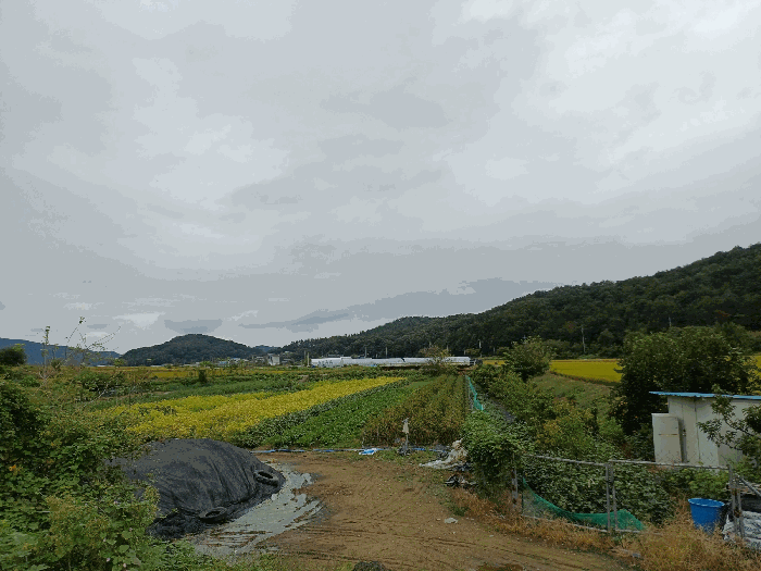 경북 구미시 장천면 전답 경매 물건 사진 6 · 2025타경11454