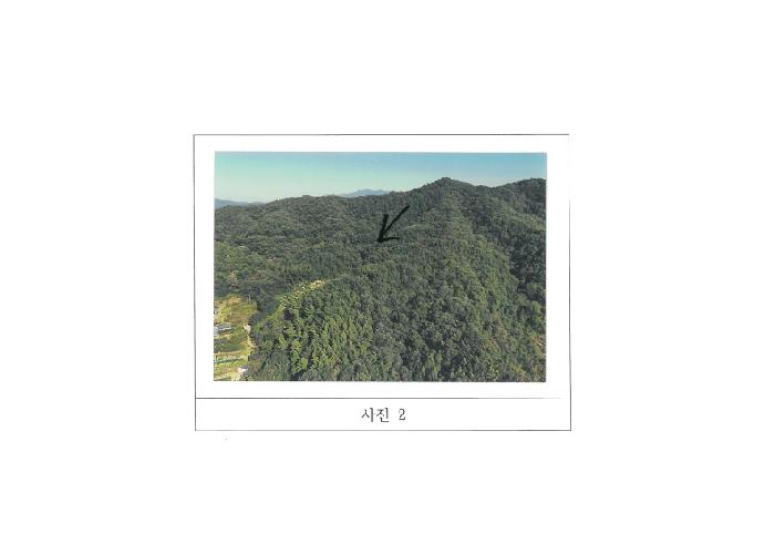 경북 김천시 감천면 임야 경매 물건 사진 2 · 2025타경11462