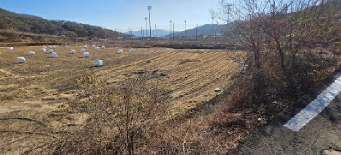 경북 김천시 개령면 전답 경매 물건 사진