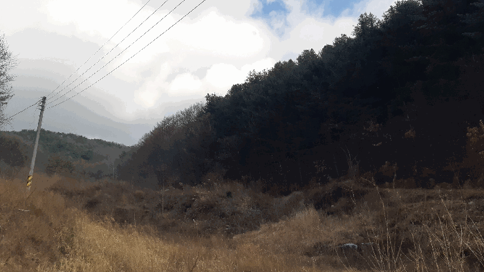 경북 김천시 봉산면 임야 경매 물건 사진 6 · 2025타경11664