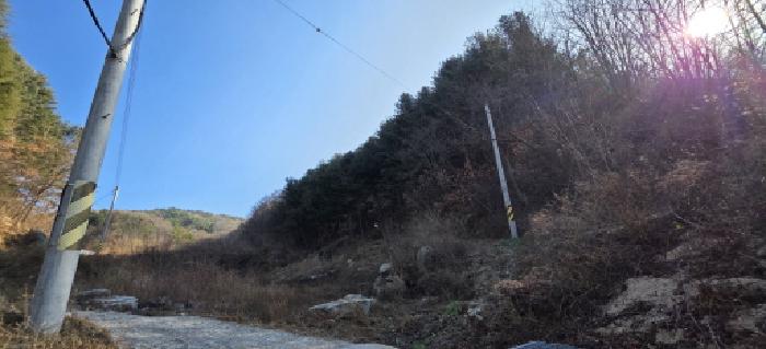 경북 김천시 봉산면 임야 경매 물건 사진 3 · 2025타경11664
