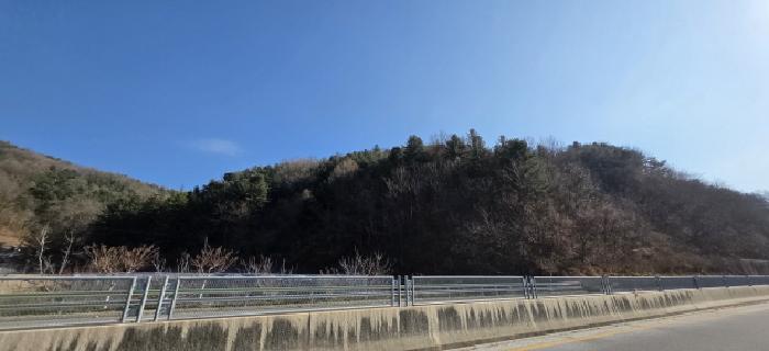 경북 김천시 봉산면 임야 경매 물건 사진 5 · 2025타경11664
