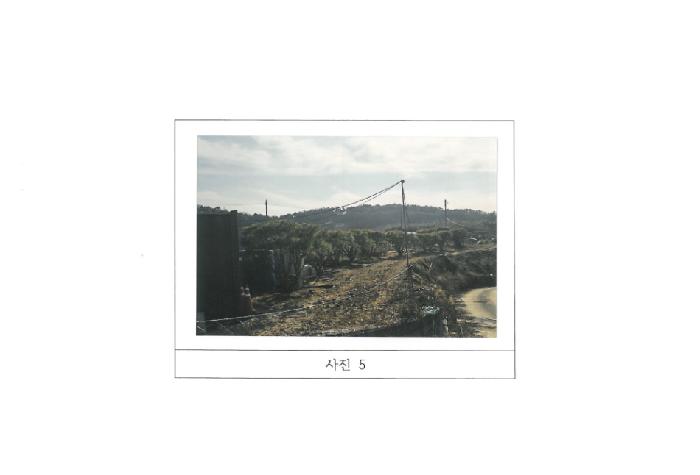경북 김천시 지좌동 임야 경매 물건 사진 5 · 2025타경180