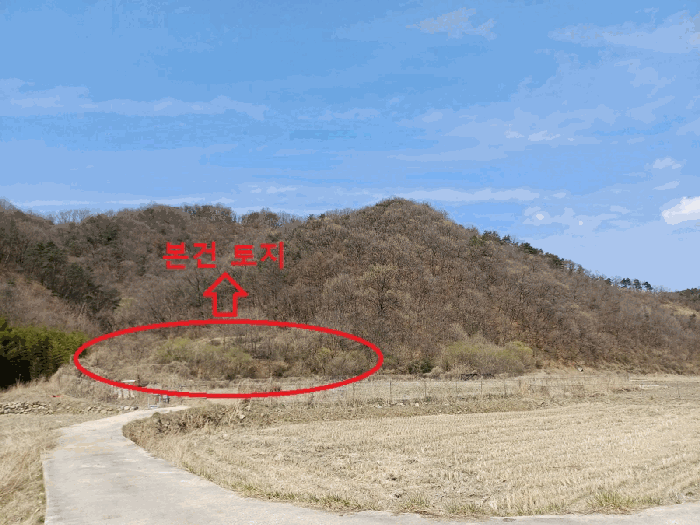 경북 김천시 지례면 전 경매 물건 사진 5 · 2025타경267