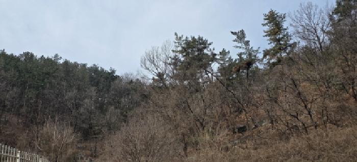 경북 구미시 선산읍 전 경매 물건 사진 2 · 2025타경279